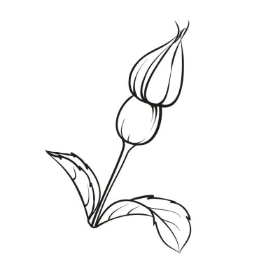 Beyaz arkaplanda siyah özet.