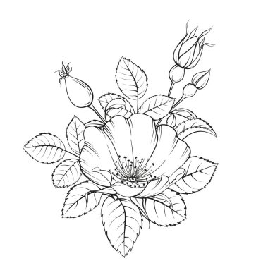 Beyaz arkaplanda siyah özet.