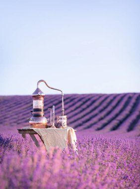 Distillation of lavender essential oil and hydrolate. Copper alambik for the flowering field clipart