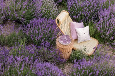 Lavanta tarlasında bir bardak limonata. Arka planda mor çiçekler