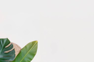 Sarı yapraklı yaz arkaplanı