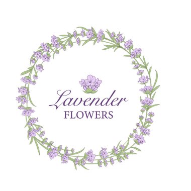 Lavanta çiçeği logosu tasarımı. Zarif bir çiçek özeti. Vektör illüstrasyonu
