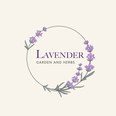 Lavanta çiçeği vektör logosu. Çiçek tasarım etiketi. Vektör illüstrasyonu