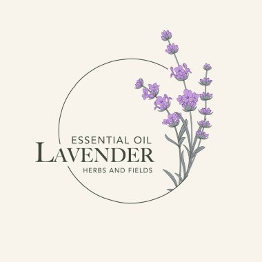 Lavanta çiçeği vektör logosu. Çiçek tasarım etiketi. Vektör illüstrasyonu