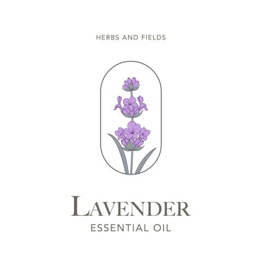 Lavanta çiçeği vektör logosu. Çiçek tasarım etiketi. Vektör illüstrasyonu