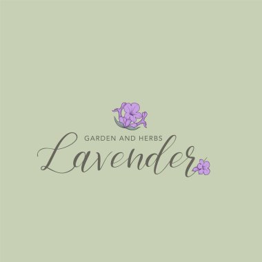 Lavanta çiçeği vektör logosu. Çiçek tasarım etiketi. Vektör illüstrasyonu