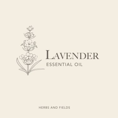 Lavanta çiçeği vektör logosu. Çiçek tasarım etiketi. Vektör illüstrasyonu