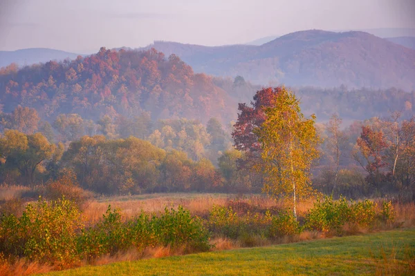Rural Fields Autumnal Countryside Colorful Mountain Landscape Misty Morning Trees — Photo