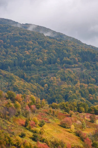 Sfondo Natura Autunnale Montagna Colline Boschive Fogliame Colorato Meraviglioso Paesaggio — Foto Stock
