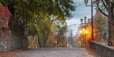 empty street in autumn. urban morning with lanterns. colorful foliage on the ground. red ivy plant on the wall