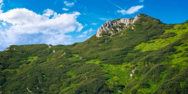 Güneşli bir sabahta güzel ibneler tepesi. Romanya 'nın dağlık kesimlerinde popüler bir yer. Sabah ışığında kayalık kayalıklar ve bulutlar. harika doğa geçmişi