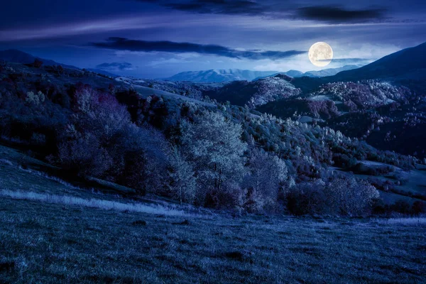 美丽的秋天 夜晚的山水 黑暗的风景 秋天的树叶点缀在山丘上 满月的月光照射在草地上 自然美概念 — 图库照片