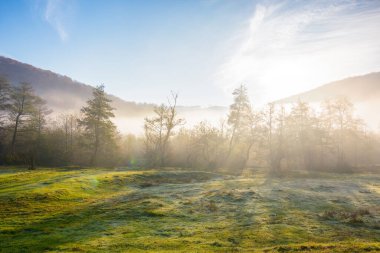Sonbaharda Transcarpathian kırsalında. Sabah sisinde orman ve çayırlarla güzel bir manzara. Güneşin doğuşunda esrarengiz havalarda çarpıcı maceralar