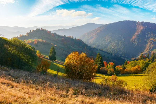 Trees Colorful Foliage Hill Open Vista Valley Mountains Distance Beautiful — Stock fotografie