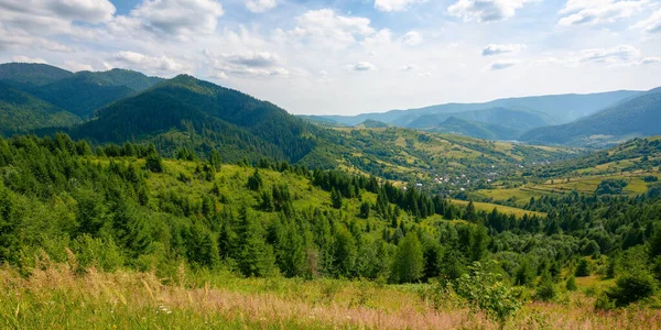 Beauty Carpathian Mountain Landscape Summer Wonderful Green Countryside Scenery Sunny — Stock Photo, Image