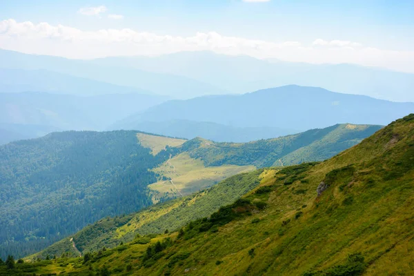 Karpat Dağları Nın Tepeleri Çayırları Güneşli Bir Günde Yeşil Yamaçlı — Stok fotoğraf
