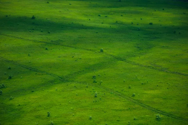 Zelená Textura Povrchu Trávy Horský Kopec Létě — Stock fotografie