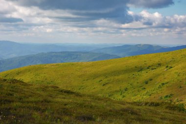 wonderful nature background in mountains. green landscape in evening light. view in to the distant valley