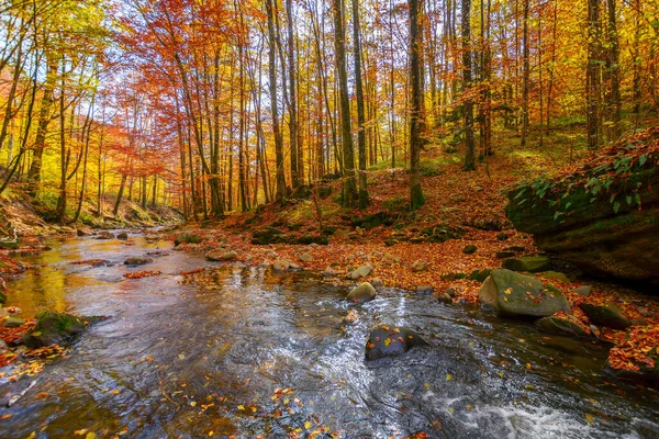 Water Flow Stones Natural Park Wonderful Nature Scenery Autumn Trees — Stock Photo, Image