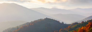 Yuvarlanan tepelerde renkli yapraklı ağaçlar. Borzhava dağ sırtı uzakta. Sonbaharda gün batımında muhteşem manzara