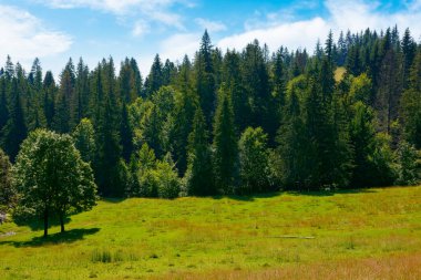 Yazın Karpatlar 'ın dağ manzarası. Ormanlık tepeleri ve vadiden geçen yolu olan güzel bir kırsal.