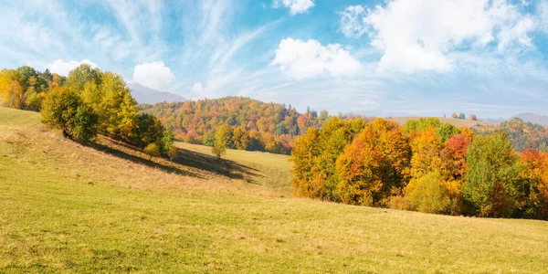 令人难以置信的秋天风景和五彩缤纷的树木 阳光明媚的早晨 在Borzhava山脊脚下的小山和草地 — 图库照片