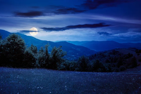 夜はカルパチア山脈の草の牧草地 夏の田園風景です 満月の光に包まれた空のふわふわの雲 — ストック写真