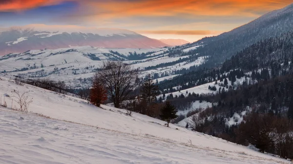 冬天的喀尔巴阡山乡村风景 美丽的日出在山上 积雪覆盖的山丘 远处是带着克拉丝娜山脊的风景 山谷中的Synevir村 — 图库照片