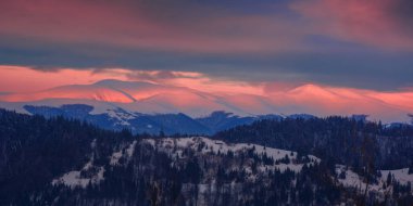 Borzhava sırtında şafak vakti karla kaplı tepeler. Kırmızı sabah ışığında dağ manzarası. Bulutlu bir sabahta Karpatya kırsal manzarası