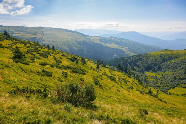 Malebný Výhled Karpatské Hory Zelená Krajina Kopci Valícími Vzdáleného Hřebene — Stock fotografie