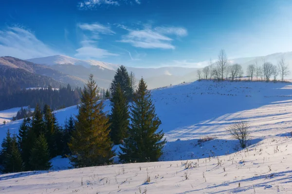 冬天的乡村风景 雪地上的针叶林覆盖着小山 夜光下美丽的山景 — 图库照片