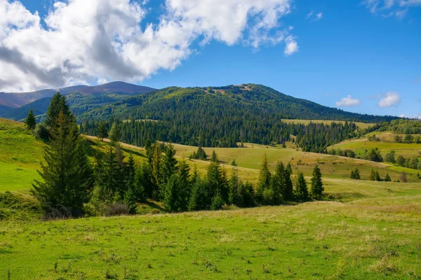 Bergachtig Landschap September Bomen Grazige Weiden Heuvels Aan Voet Van — Stockfoto