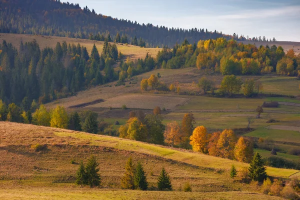 stock image rural fields and meadows on rolling hills. countryside landscape in carpathian mountains on a sunny autumn evening