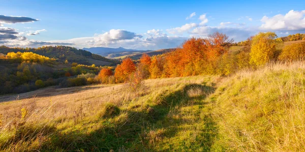 Fantastic Autumn Afternoon Carpathians Iconic Picture Transcarpathia Pikui Peak Distance — Stockfoto