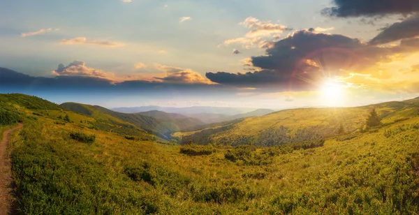 Панорамний Вид Долину Приголомшливий Краєвид Карпатських Гір Заході Сонця Влітку — стокове фото