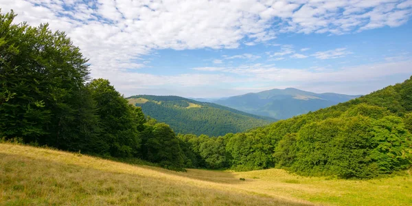 Green Pasture Hillside Forested Mountains Distance Beautiful Countryside Landscape Transcarpathia —  Fotos de Stock