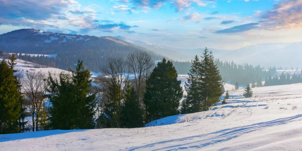 Landschap Winter Landschap Karpaten Bergen Landelijk Landschap Met Besneeuwde Velden — Stockfoto