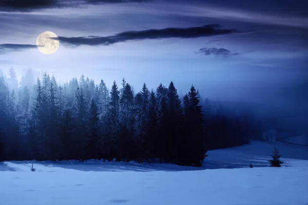 在一个雾蒙蒙的夜晚 山水漫漫 美丽的冬季风景 雪地上有云杉树 满月的光覆盖着小山 — 图库照片