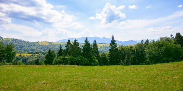 Countryside Landscape Sunny Summer Day Forested Hills Grassy Meadows Mountains — Stockfoto