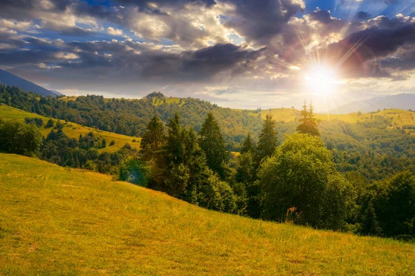 Floresta Prado Gramado Pôr Sol Paisagem Verão Verde Montanhas Luz — Fotografia de Stock