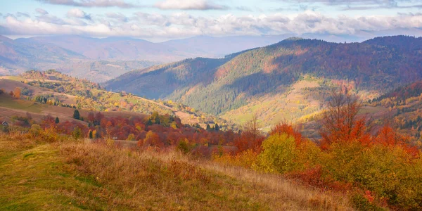 Beautiful Mountain Landscape Valley Sunny Morning Carpathian Countryside Trees Colorful — Φωτογραφία Αρχείου