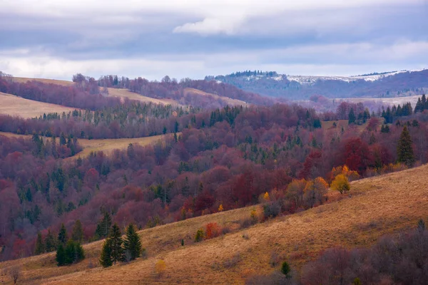 Krajobraz Wiejski Listopadzie Las Jesienią Liści Kolorowych Wzgórzach Toczących Się — Zdjęcie stockowe