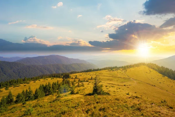 Green Nature Environment Trascarpathia Sunset Beautiful Scenery Mountains Chornohora Ridge — Stockfoto