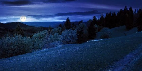 Vacker Natur Våren Natten Landsbygdslandskap Karpatiska Bergen Med Färska Gröna — Stockfoto
