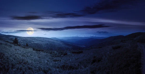 俯瞰山谷的全景 夏天的夜晚 喀尔巴阡山脉迷人的风景 在明亮的蓝天下 满月的光芒下 长满了森林的小山和青草的草地 — 图库照片