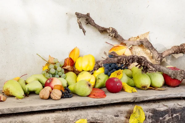 Raccolto Autunno Sul Bordo Legno Sacco Frutti Maturi Cibo Coltivato — Foto Stock