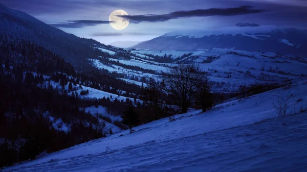 Karpaten Ländliche Landschaft Winter Der Nacht Schneebedeckte Hügel Vollmondlicht Landschaft — Stockfoto