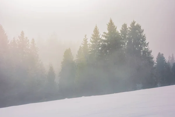 Winter Scenery Forest Fog Stunning Nature Background Sunrise — Zdjęcie stockowe