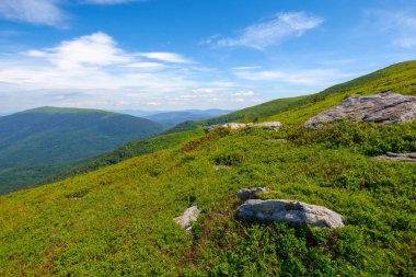 Karpatya dağlarının alp manzarası. Çimenli tepelerde taşlar. Güneşli hava ve bulutlar uzak tepenin üstünde
