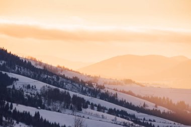 rural landscape at sunrise in winter. forested snow covered hills in morning light. mountain landscape in white season
